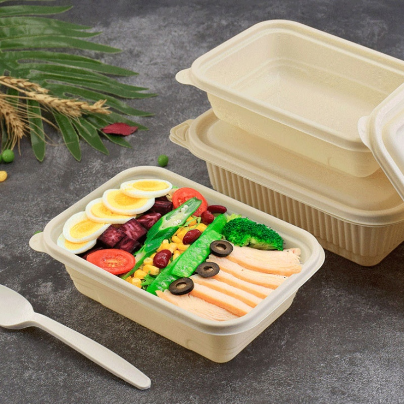 صندوق طعام بحجم مخصص يمكن التخلص منه سمادًا حاوية وجبات سريعة لمتجر بينتو للوجبات الجاهزة تحتوي على نشا الذرة القابلة للتحلل الحيوي