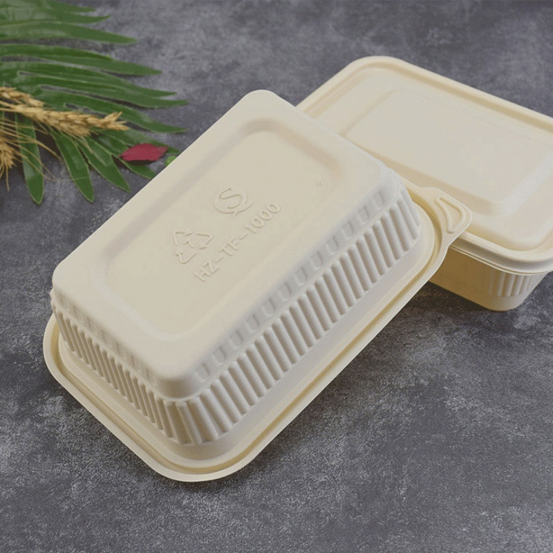 صندوق طعام بحجم مخصص يمكن التخلص منه سمادًا حاوية وجبات سريعة لمتجر بينتو للوجبات الجاهزة تحتوي على نشا الذرة القابلة للتحلل الحيوي